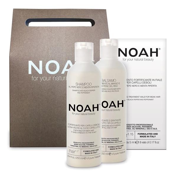 Kinkekomplekt NOAH tugevdav šampoon 1.7 + palsam 2.1 + aktiivhooldus 1.15
